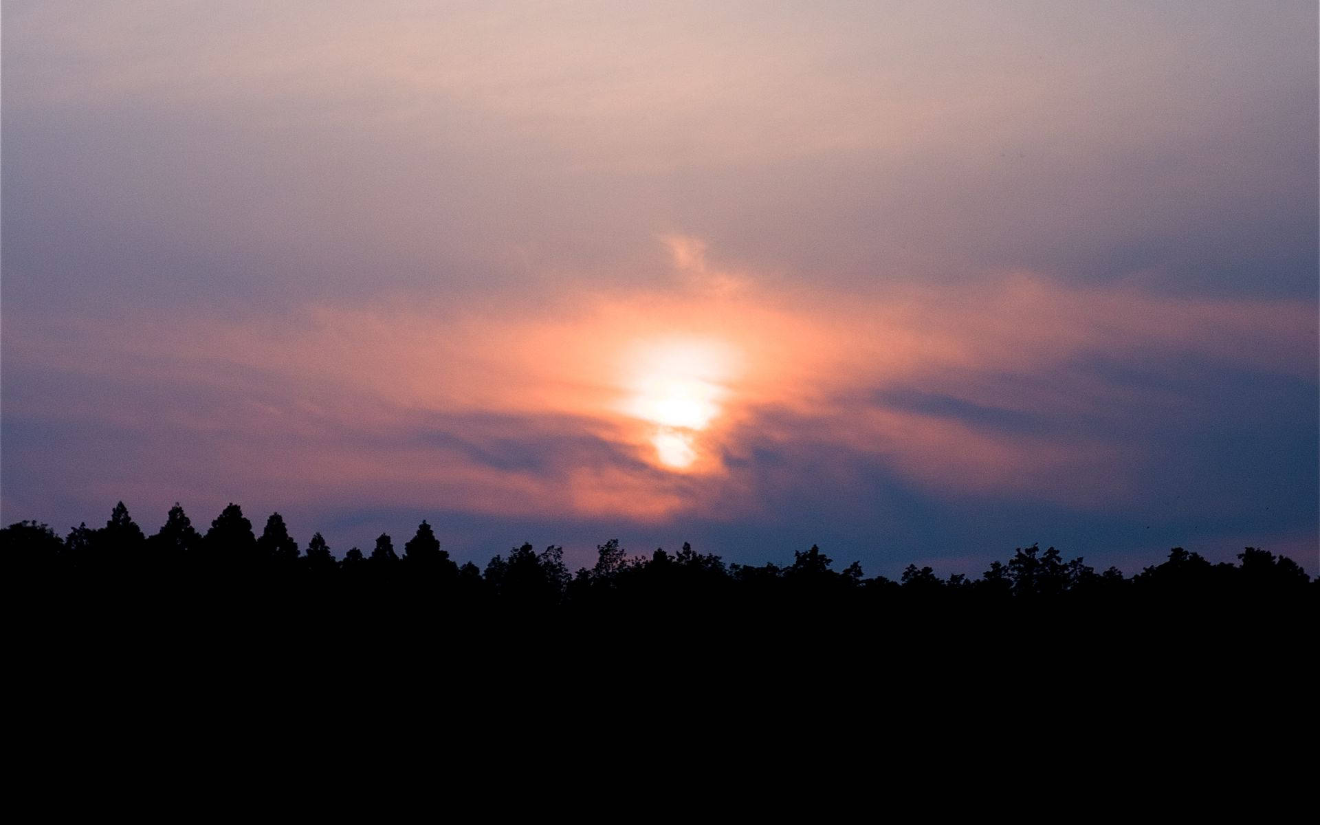 Forest Silhouette Sunset Desktop Wallpaper