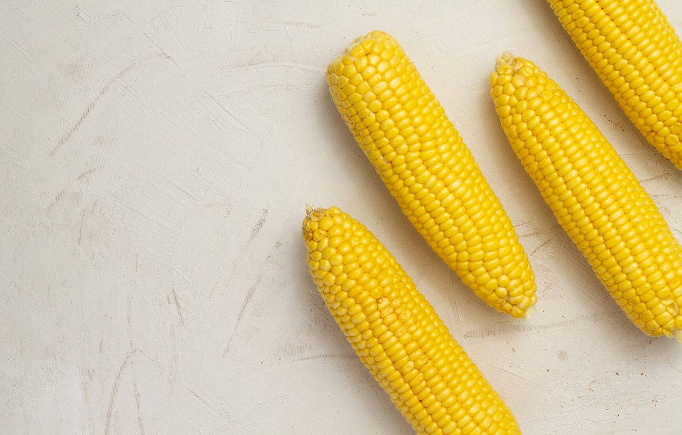 Four Corns On White Table Wallpaper