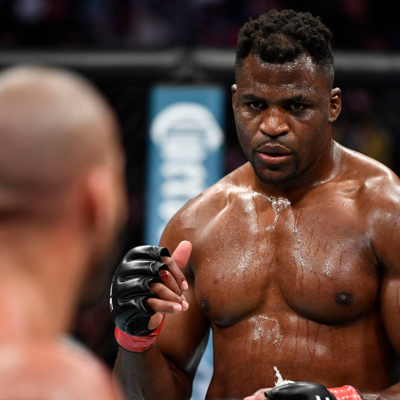 Francis Ngannou Focused Wallpaper