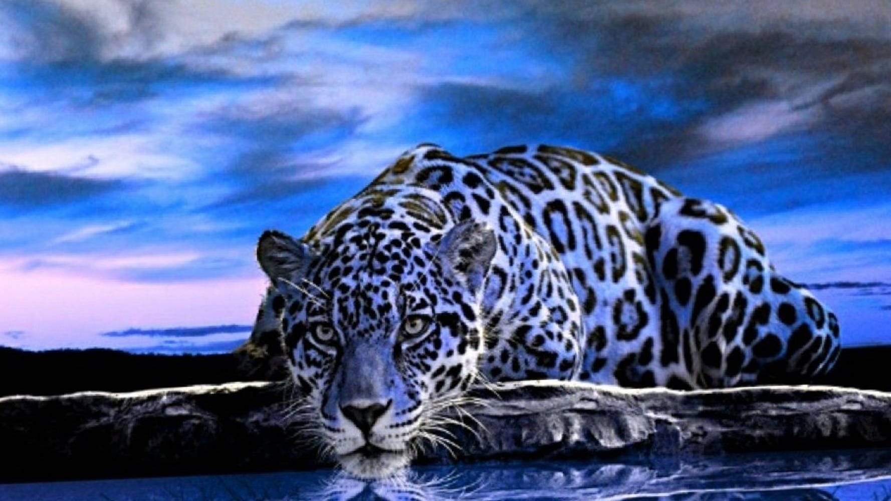 Free Image Jaguar Wallpaper