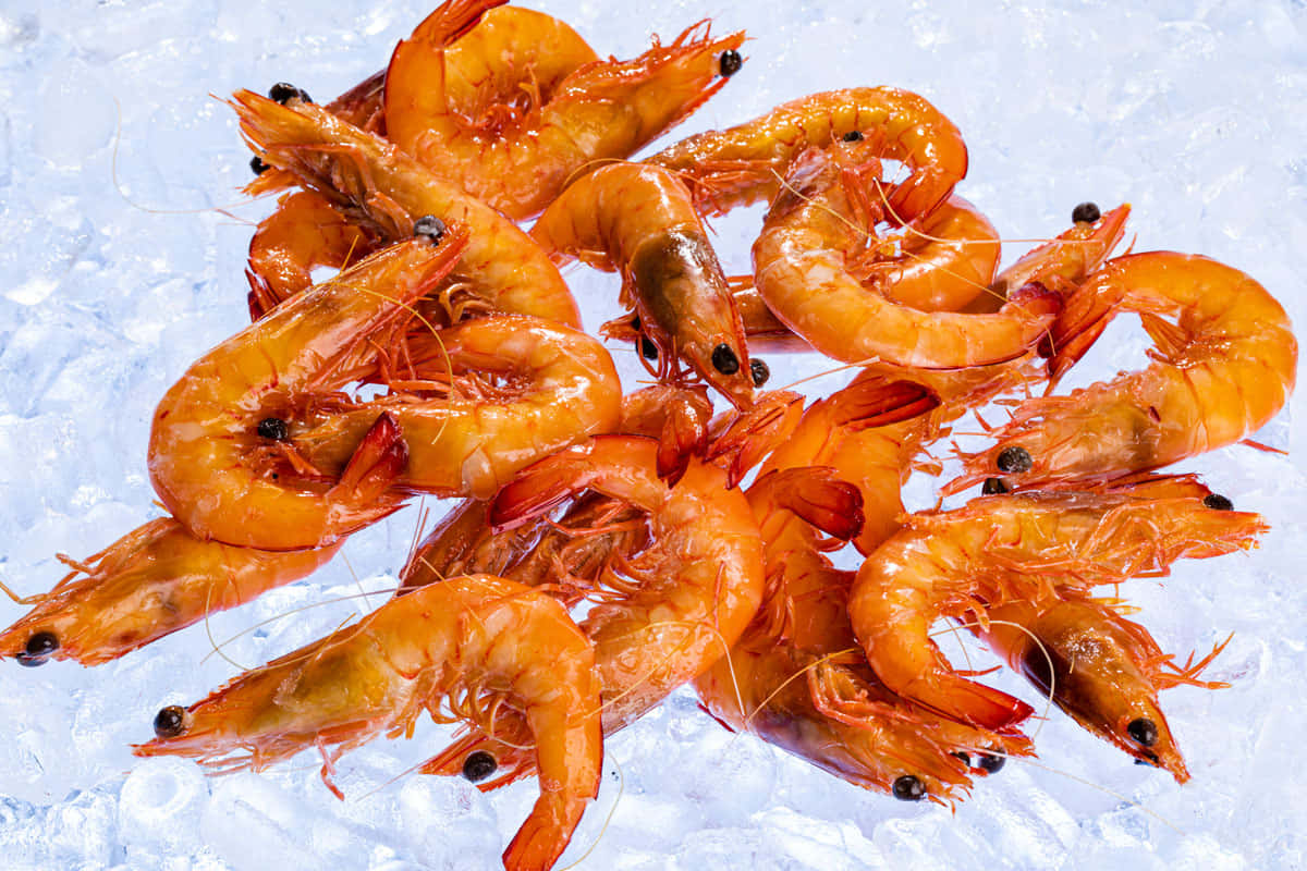 Fresh Prawns On Ice.jpg Wallpaper