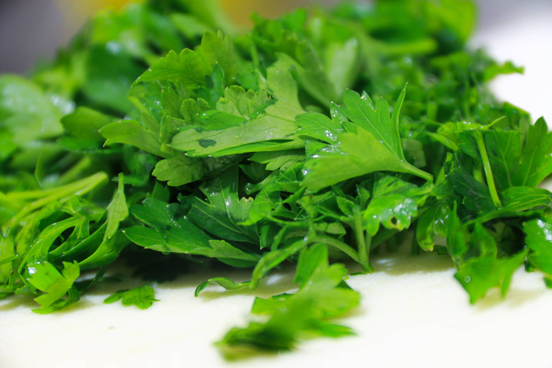 Freshly Cut Vibrant Coriander Herbs Macro Shot Wallpaper