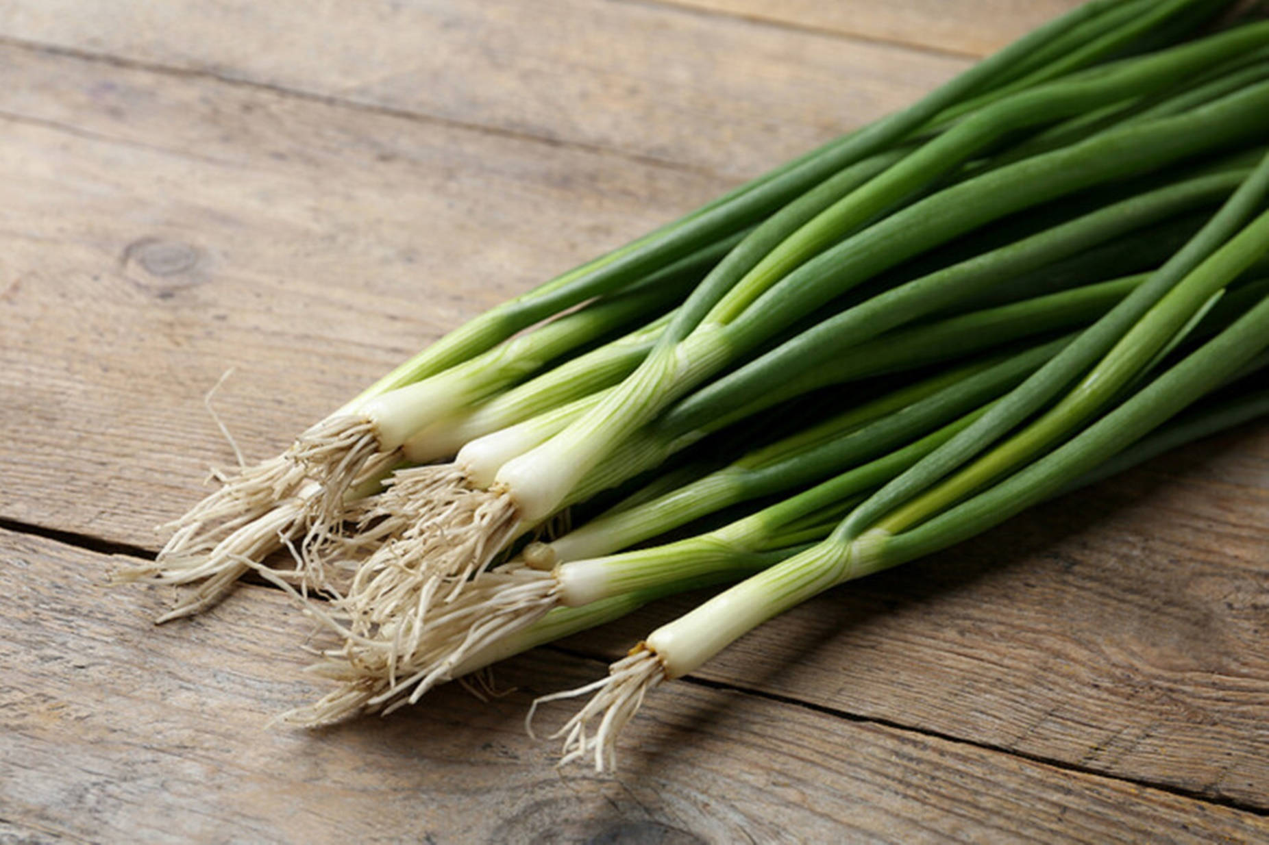 Freshly Harvested Green Onions Wallpaper