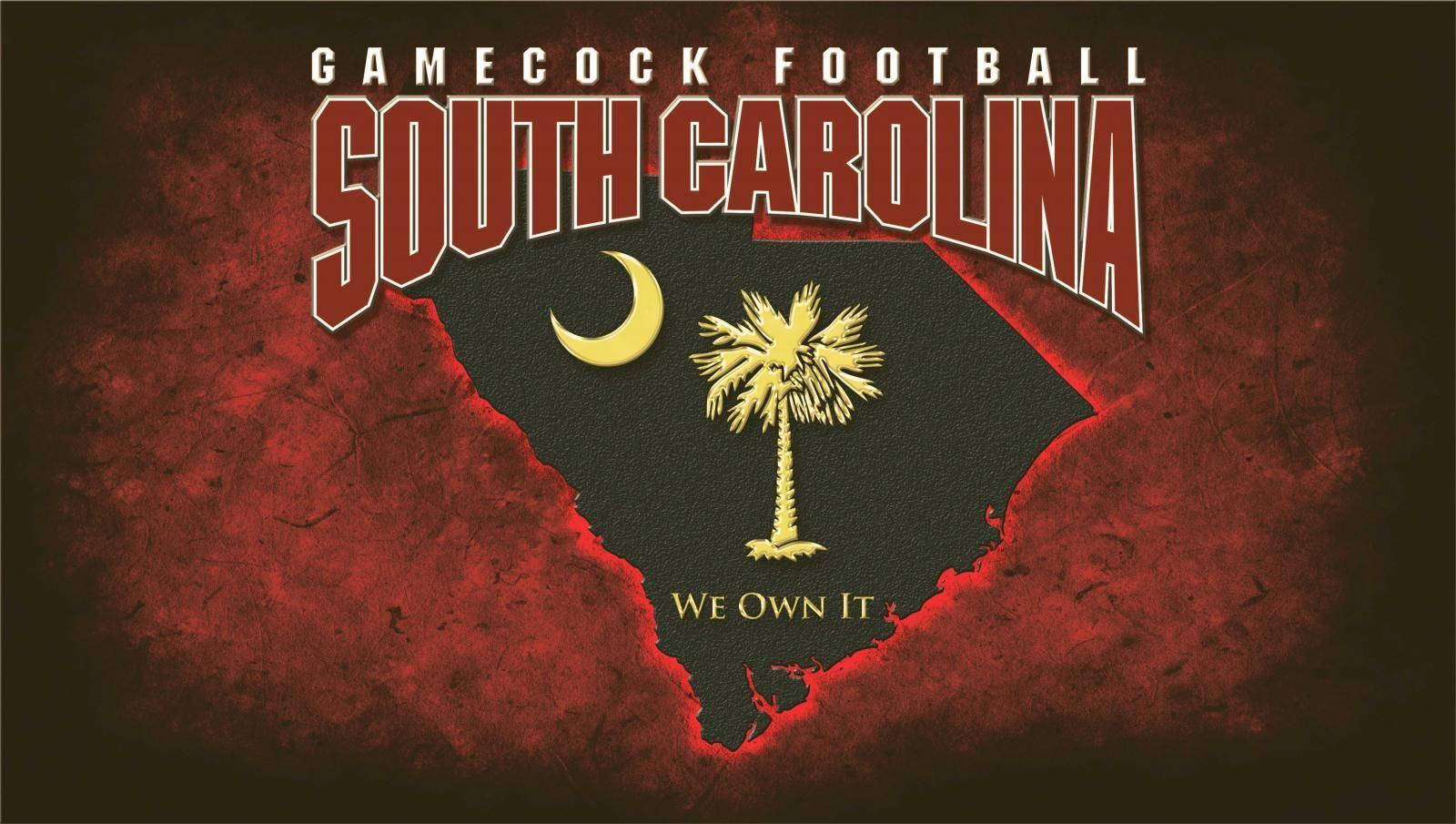 Gamecock Football South Carolina Wallpaper