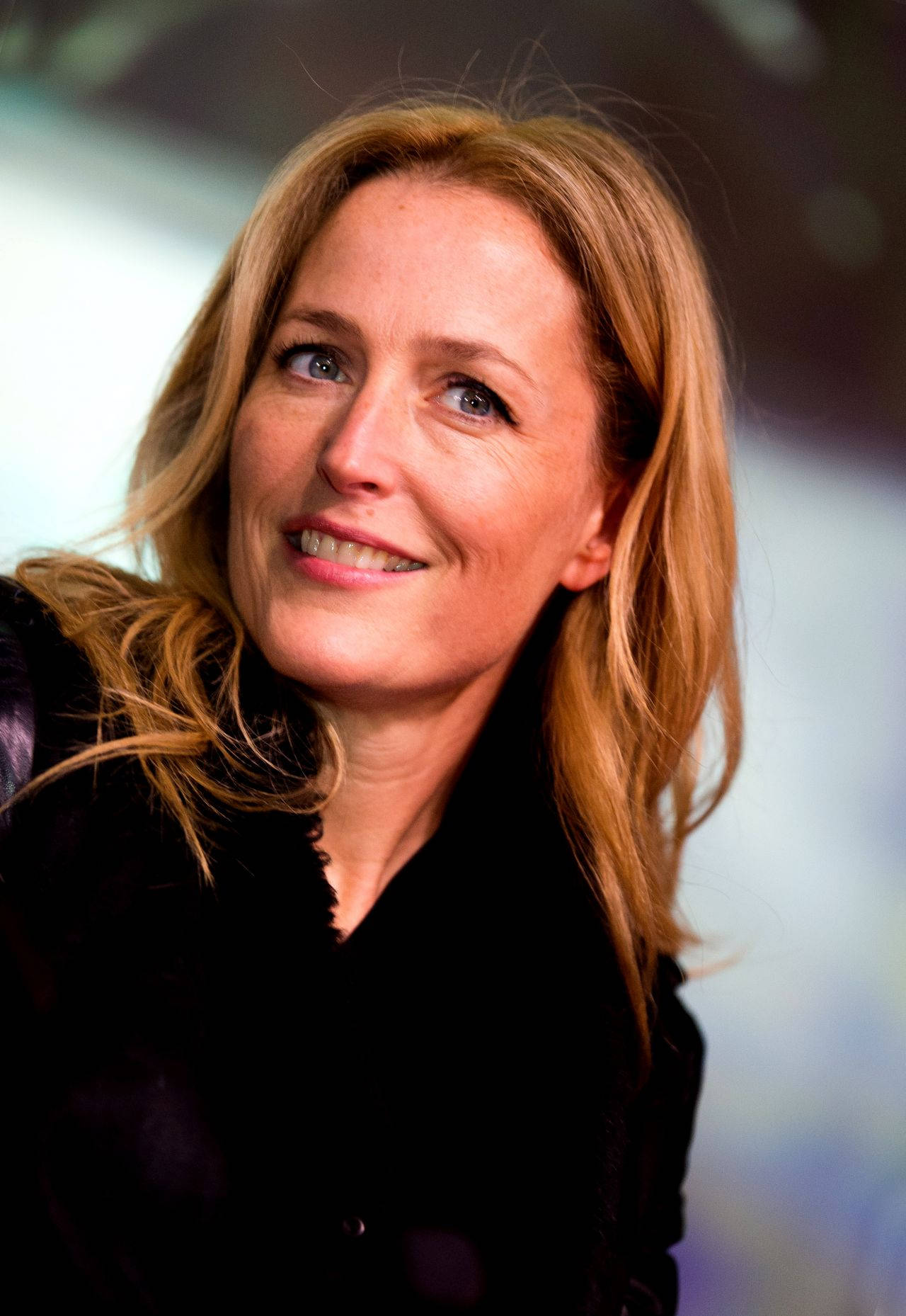 Gillian Anderson Meet & Greet Wallpaper