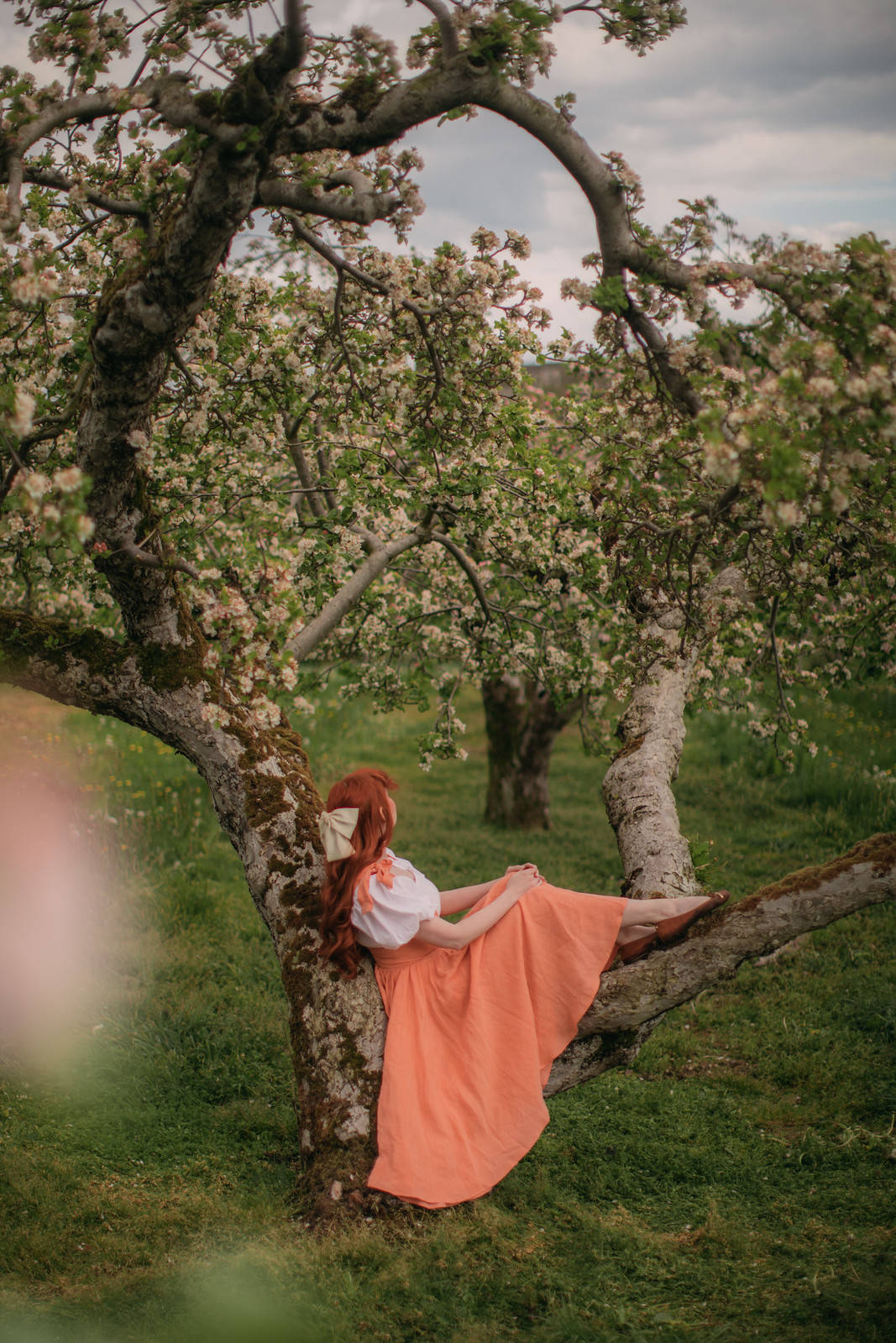 Girl On Tree Spring Iphone Wallpaper