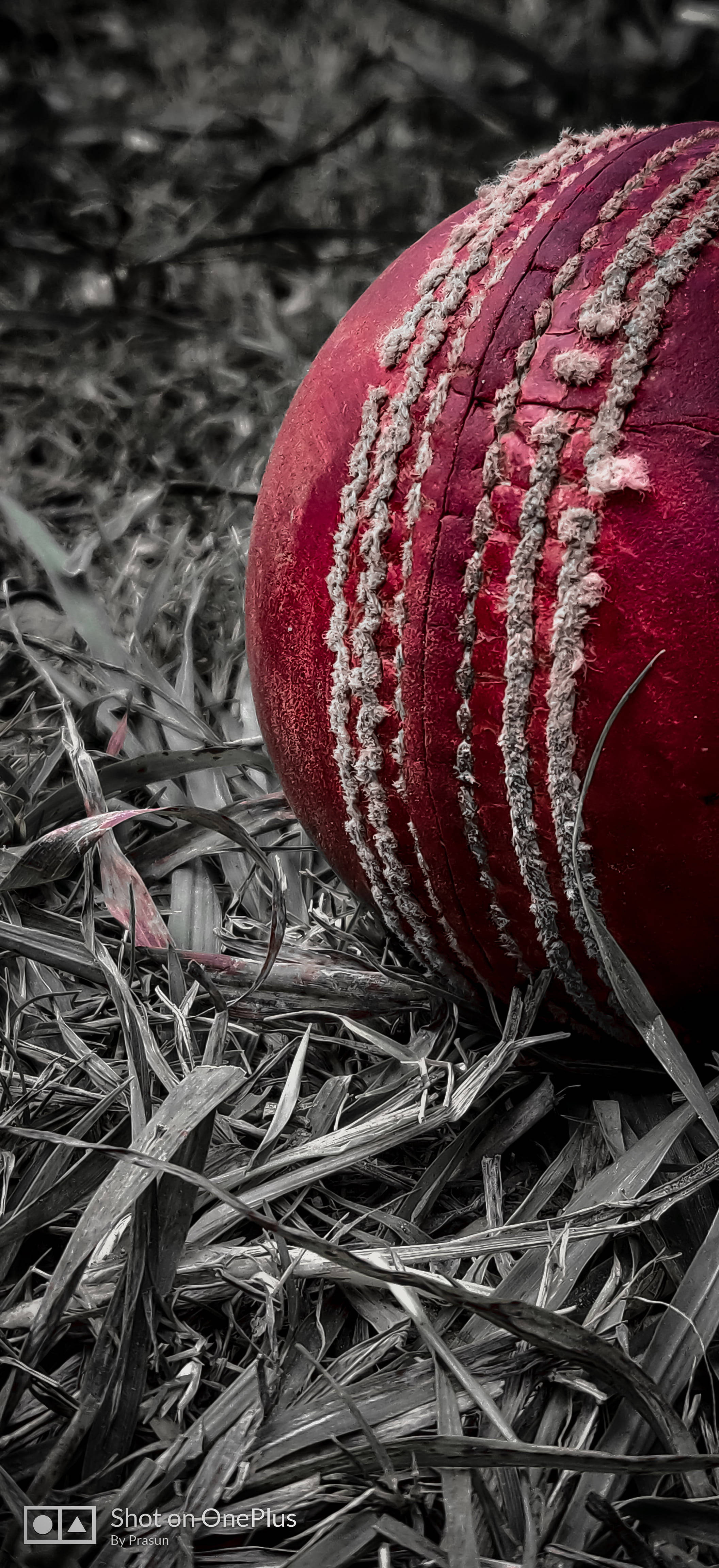 Gloomy Cricket 4k Wallpaper