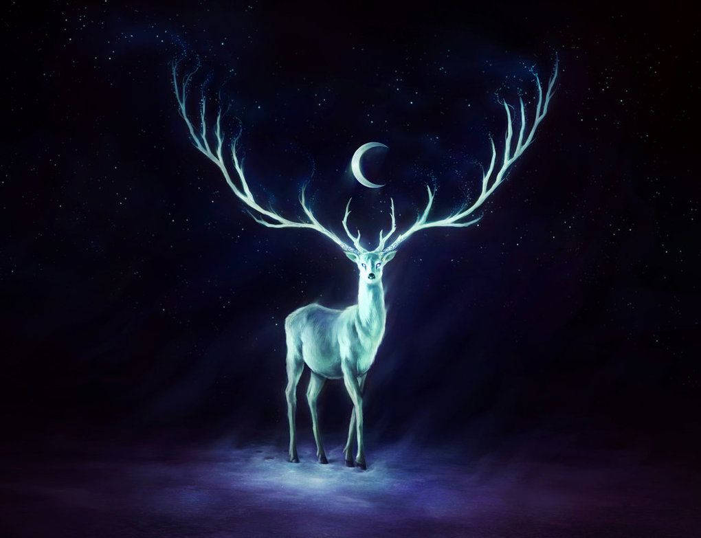 Glowing White Reindeer Deviantart Wallpaper