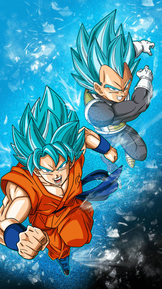 Goku And Vegeta In Super Saiyan Blue Wallpaper