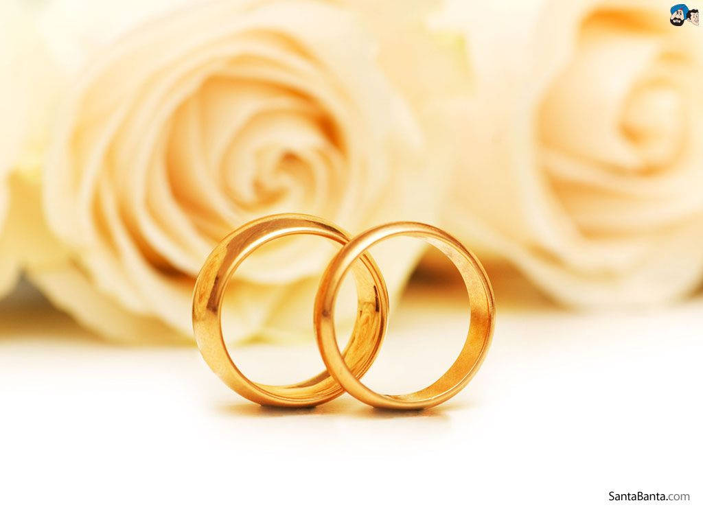 Gold Wedding Rings Yellow Flowers Wallpaper