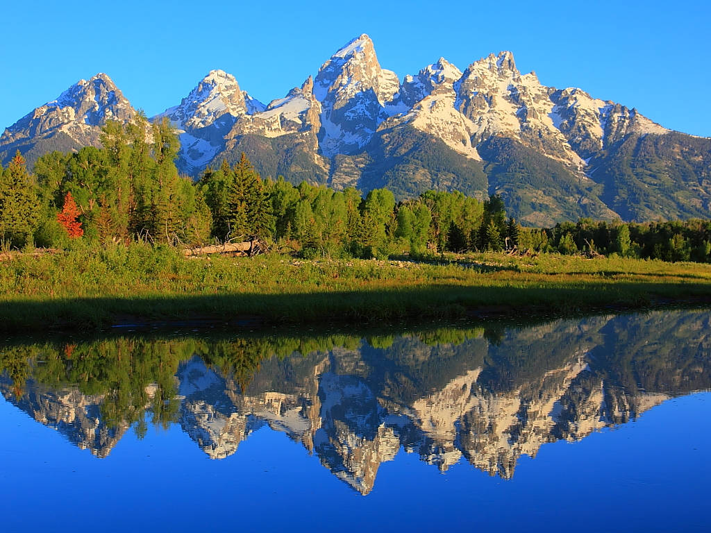 Grand Teton National Park Clear Day Wallpaper