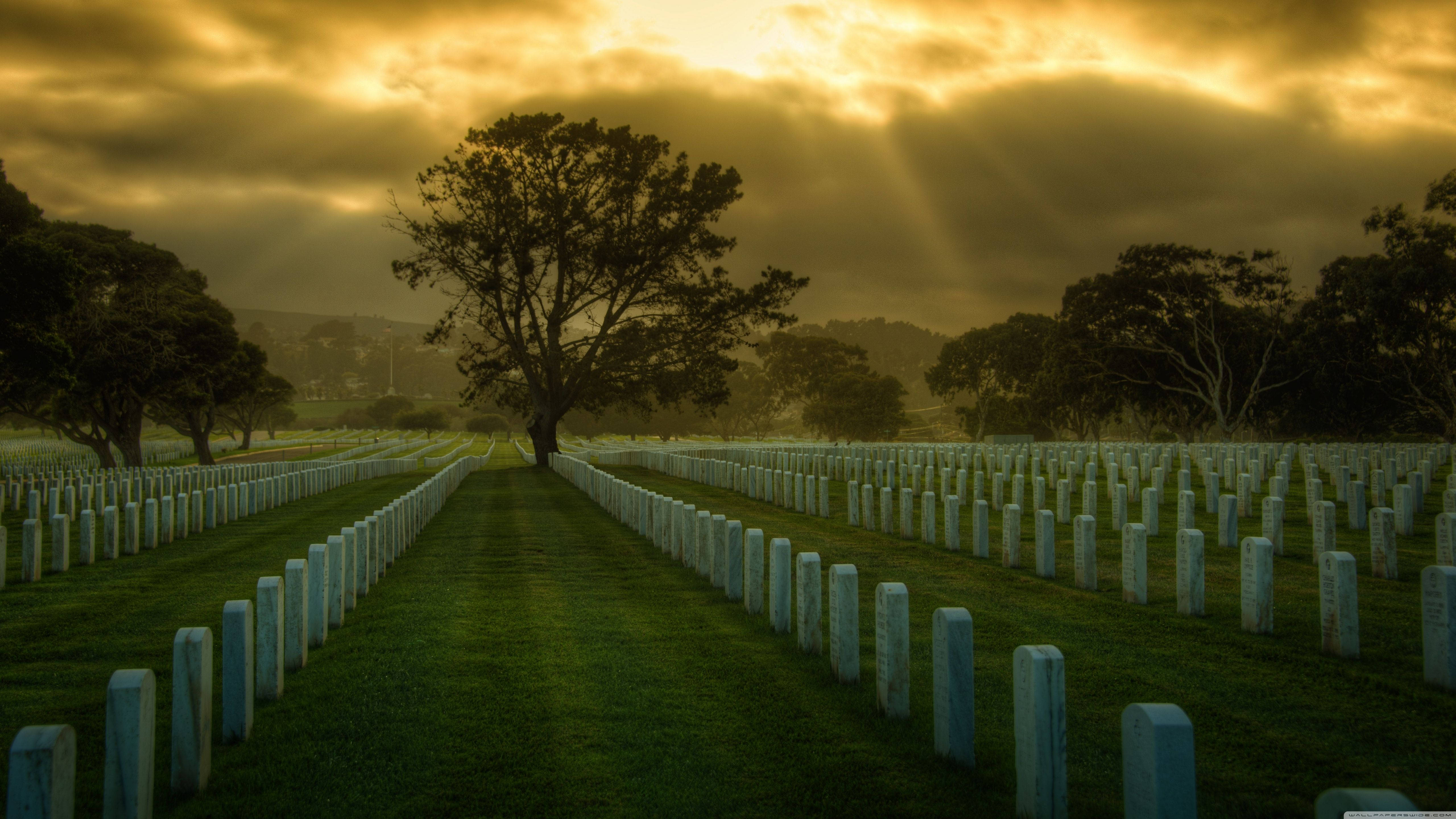 Graveyard During Golden Hour Wallpaper