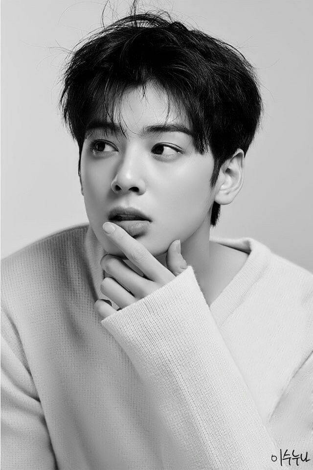 Grayscale Cha Eunwoo Wallpaper