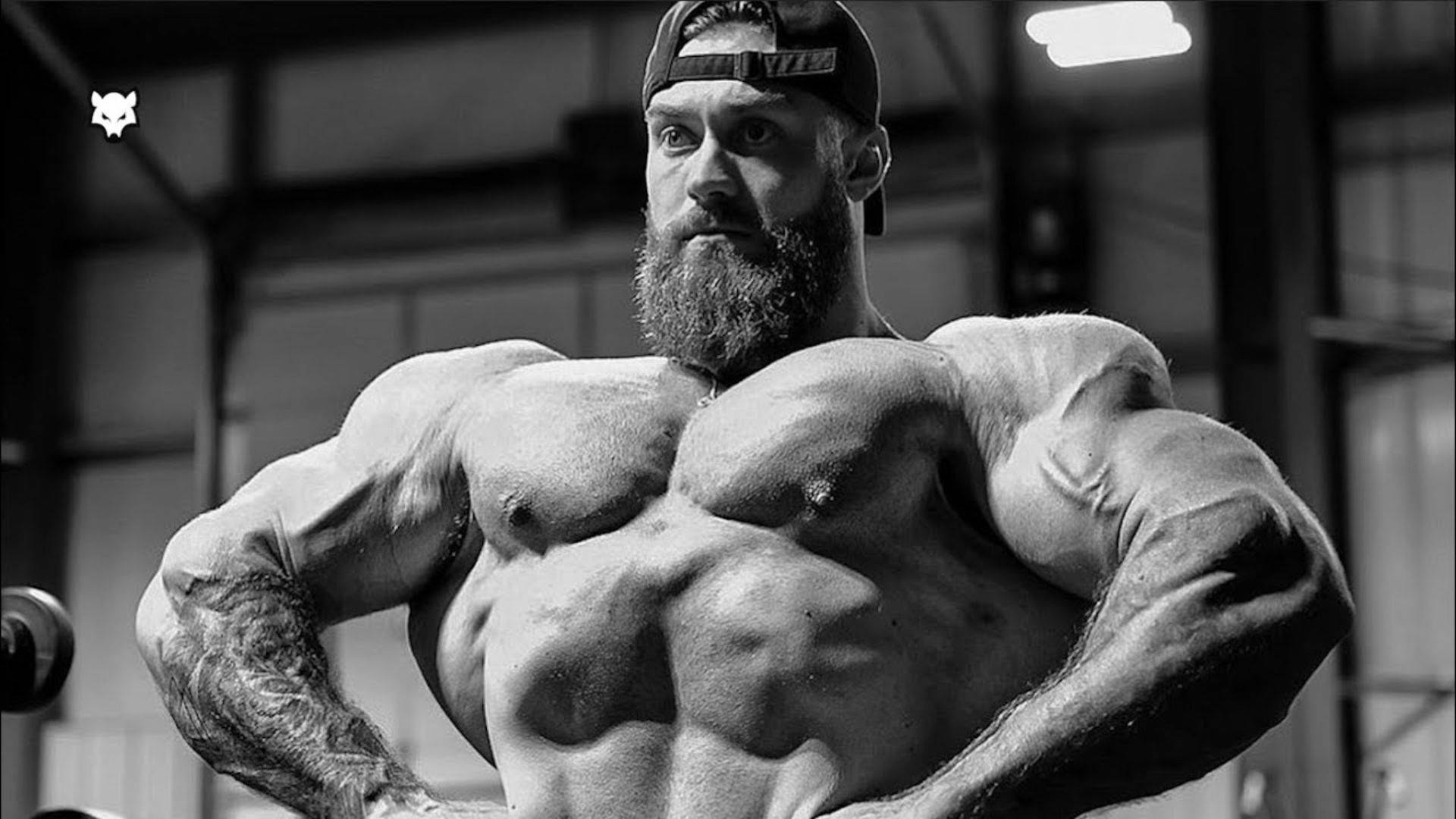 Grayscale Front Lat Spread Chris Bumstead Wallpaper