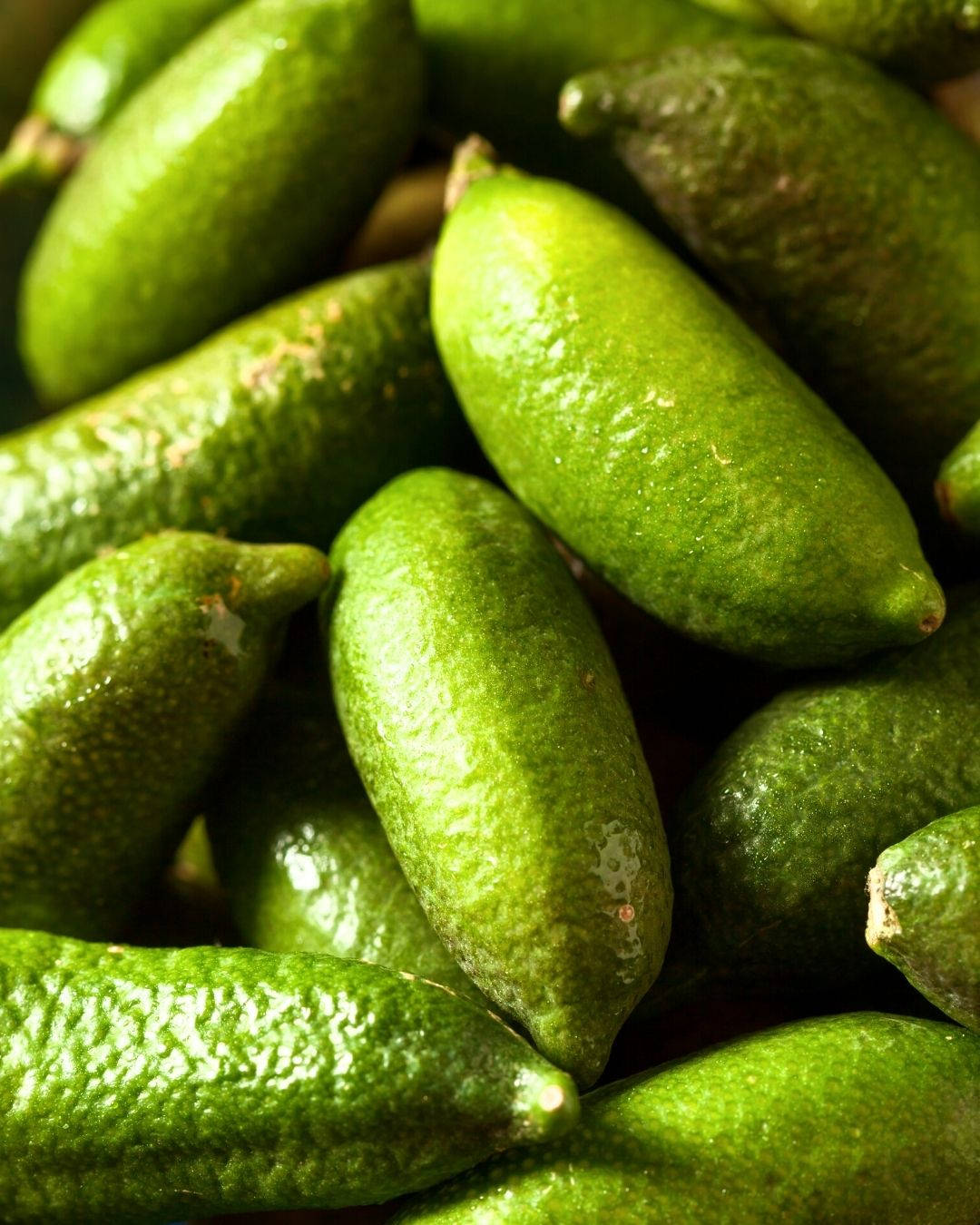 Green Finger Limes Wallpaper