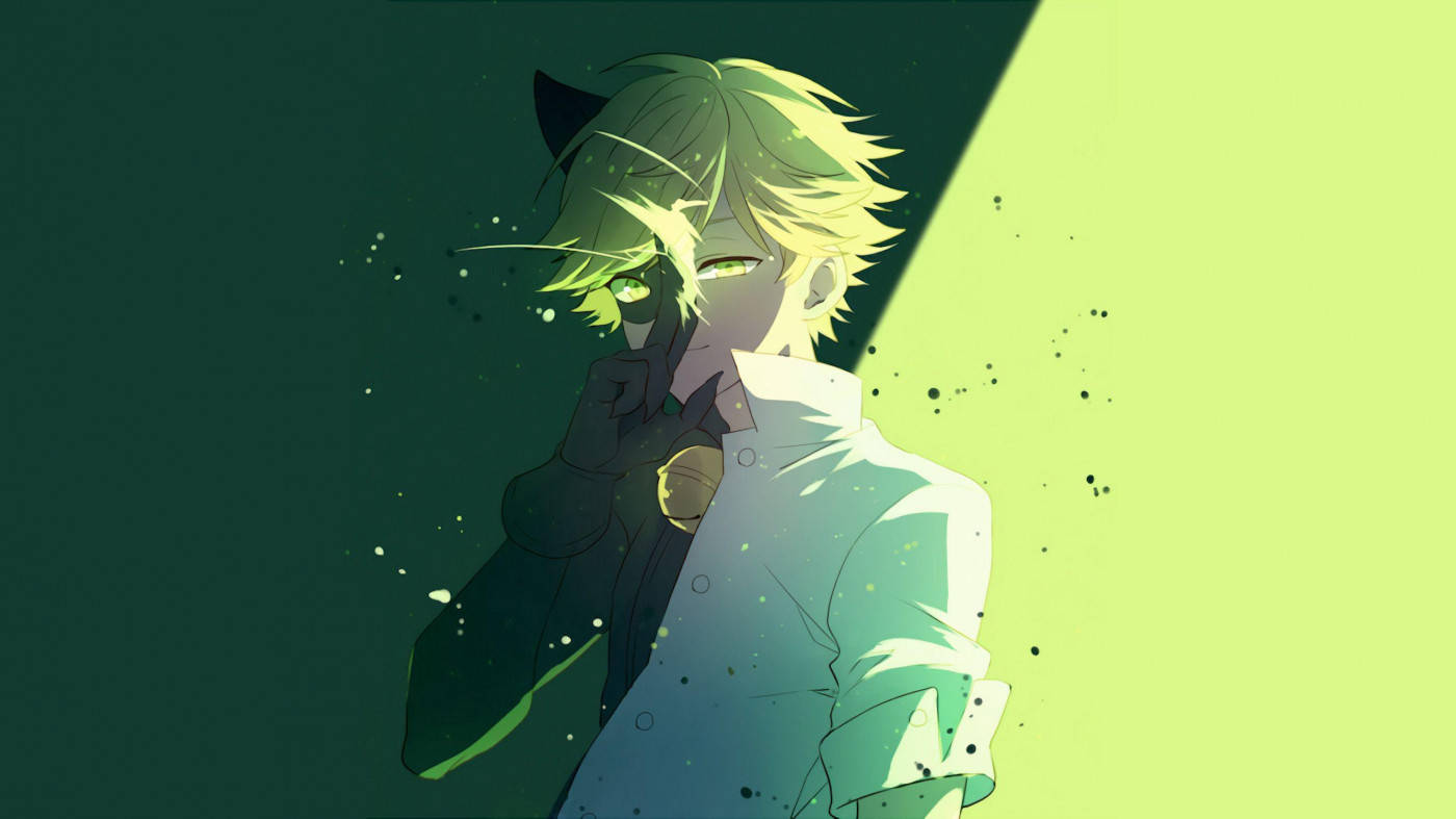 Green Ladybug And Cat Noir Adrien Wallpaper