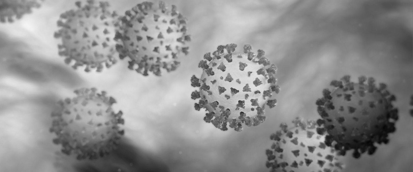 Greyscale Coronavirus Visual Wallpaper