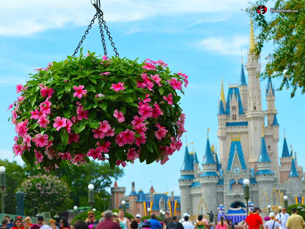 Hanging Flower Pot At Disney World Wallpaper