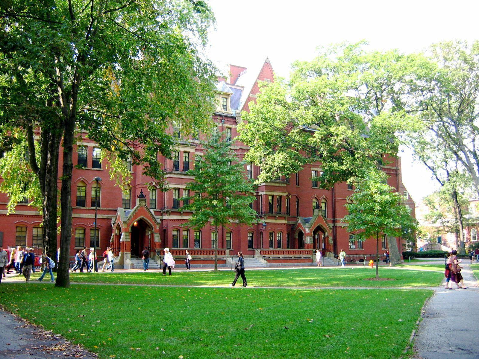 Harvard University Yard Trees Wallpaper