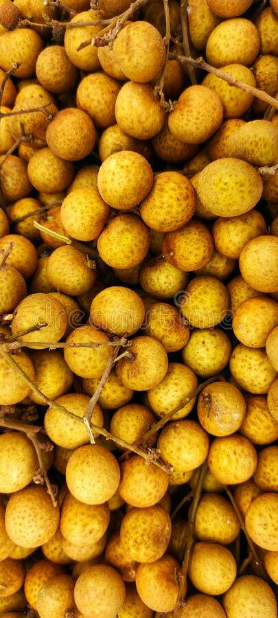 Harvested Longan Fruits Wallpaper