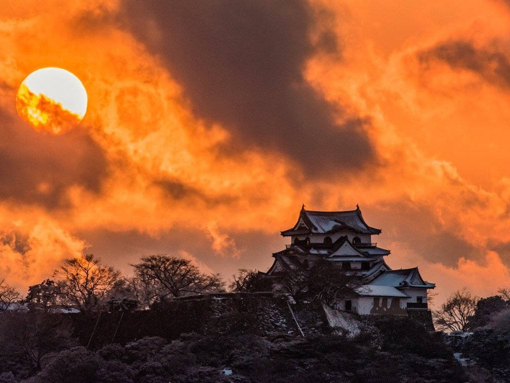 Himeji Castle At Dusk Wallpaper