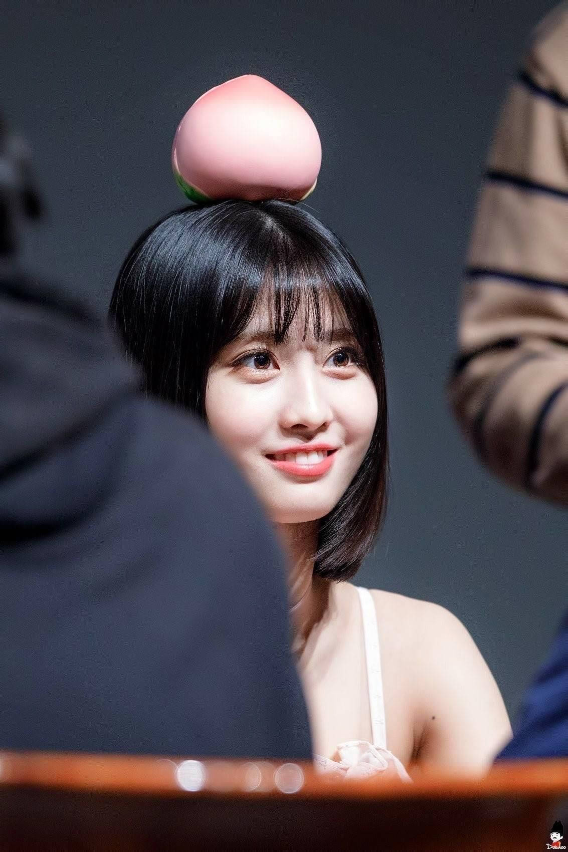 Hirai Momo Stuffed Toy Peach Wallpaper