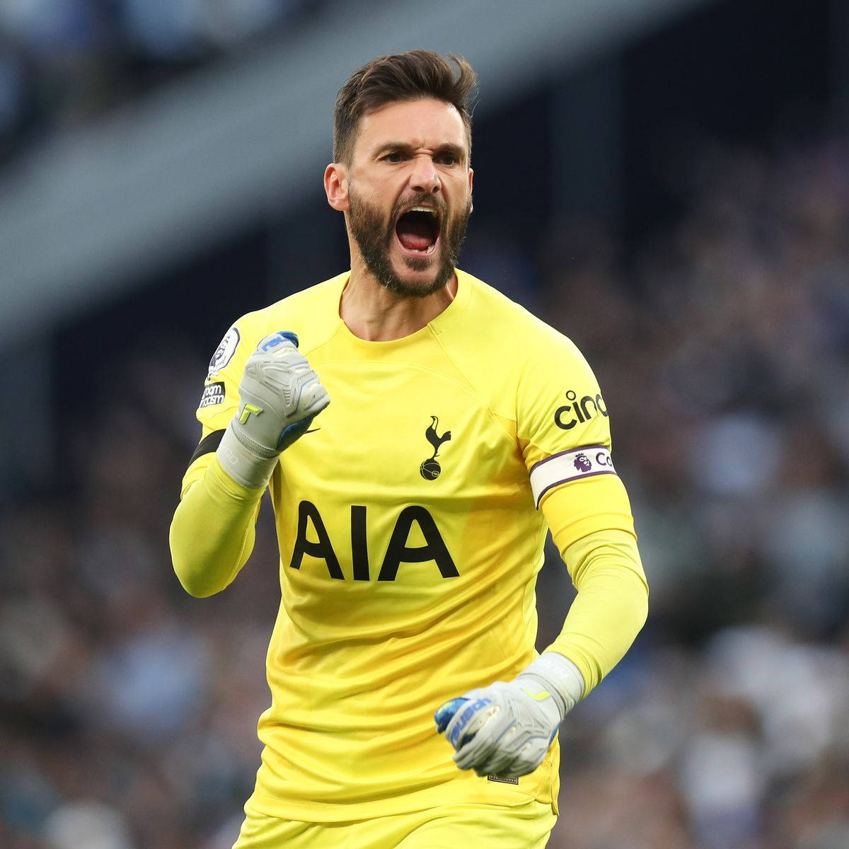 Hugo Lloris Loud Cheer Wallpaper