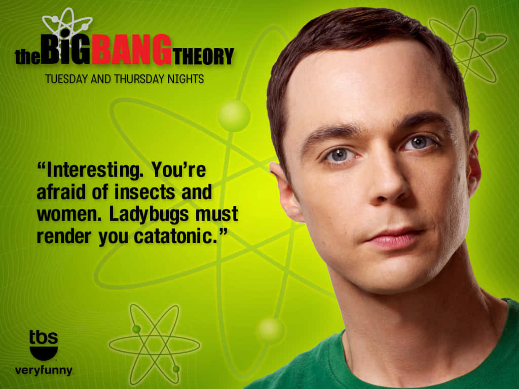 Iconic Catatonic Humor Of Sheldon Wallpaper