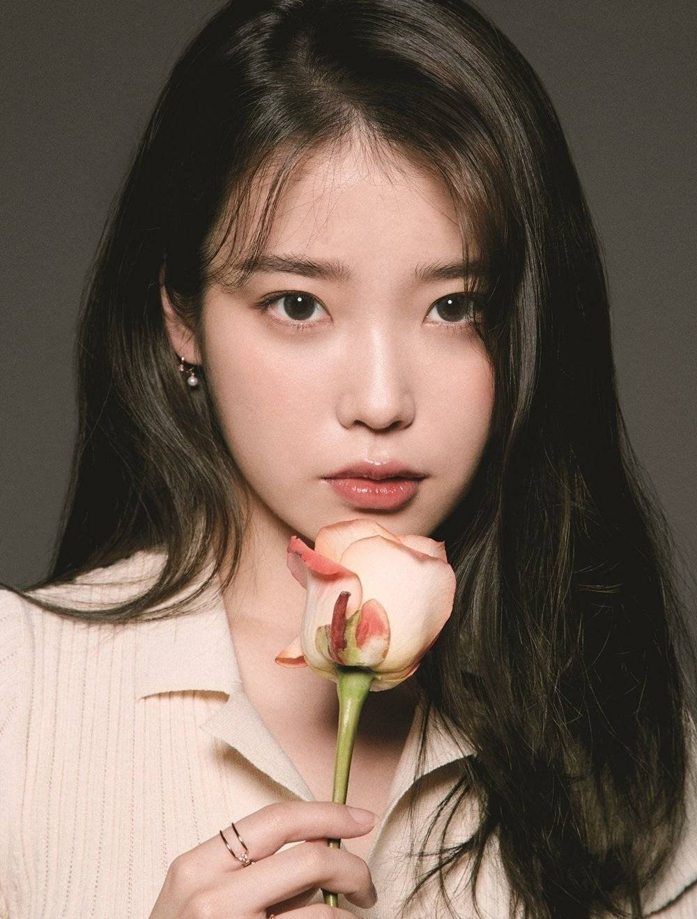 Iu Sporting A Pink Rose Wallpaper