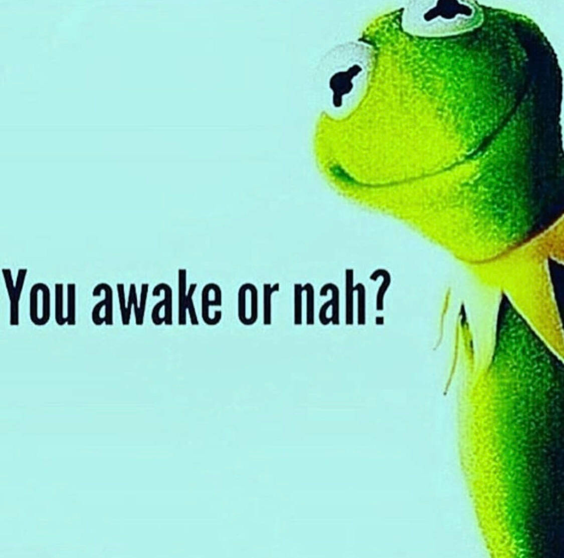 Kermit The Frog Awake Wallpaper