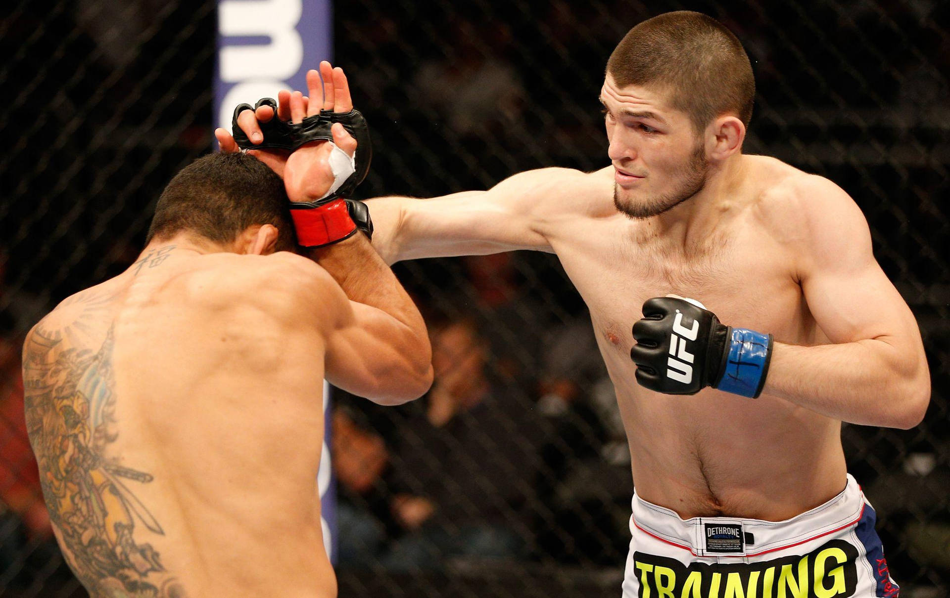 Khabib Nurmagomedov Punching Wallpaper