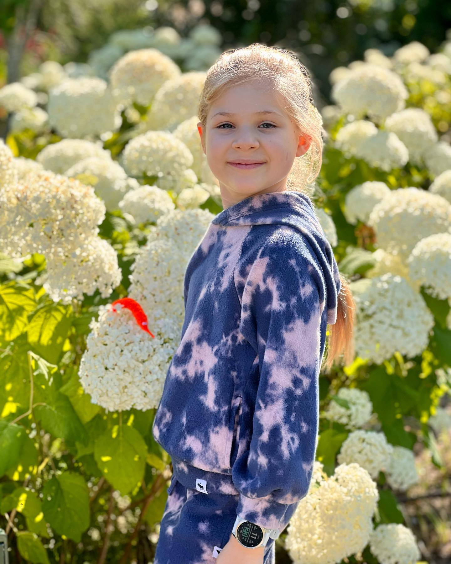 Kids Diana Show Snowball Hydrangea Wallpaper