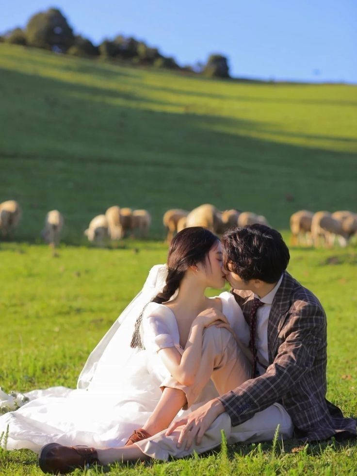 Korean Couple Kissing On The Pasture Wallpaper