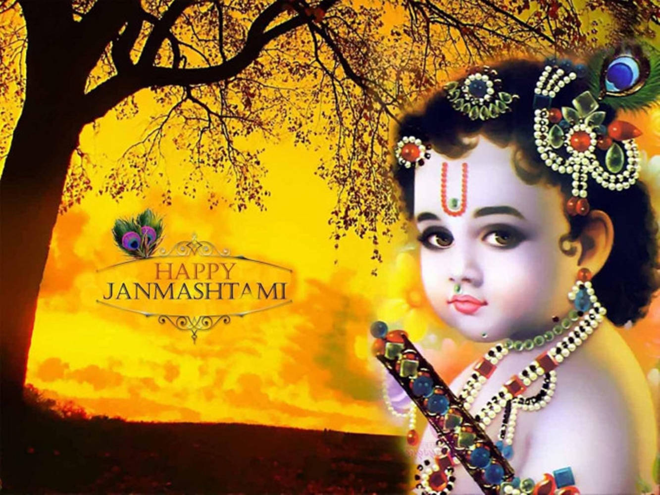 Krishna Janmashtami Tree During Sunset Wallpaper