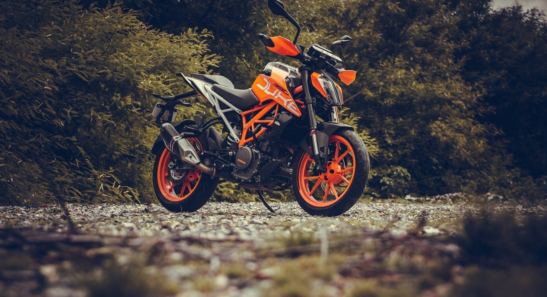 Ktm Duke 390 On Forest Wallpaper