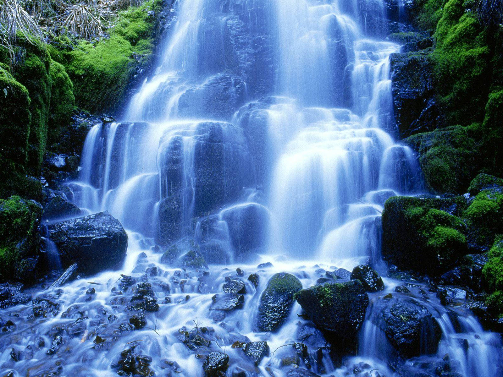 Live 3d Mossy Waterfall Wallpaper