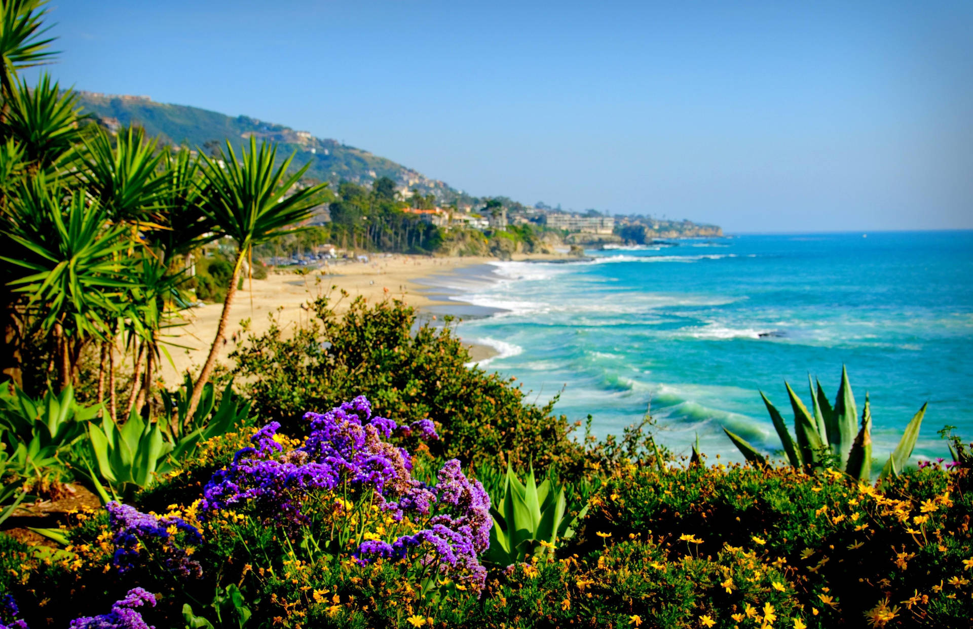 Lush Greenery On Malibu Beach Wallpaper