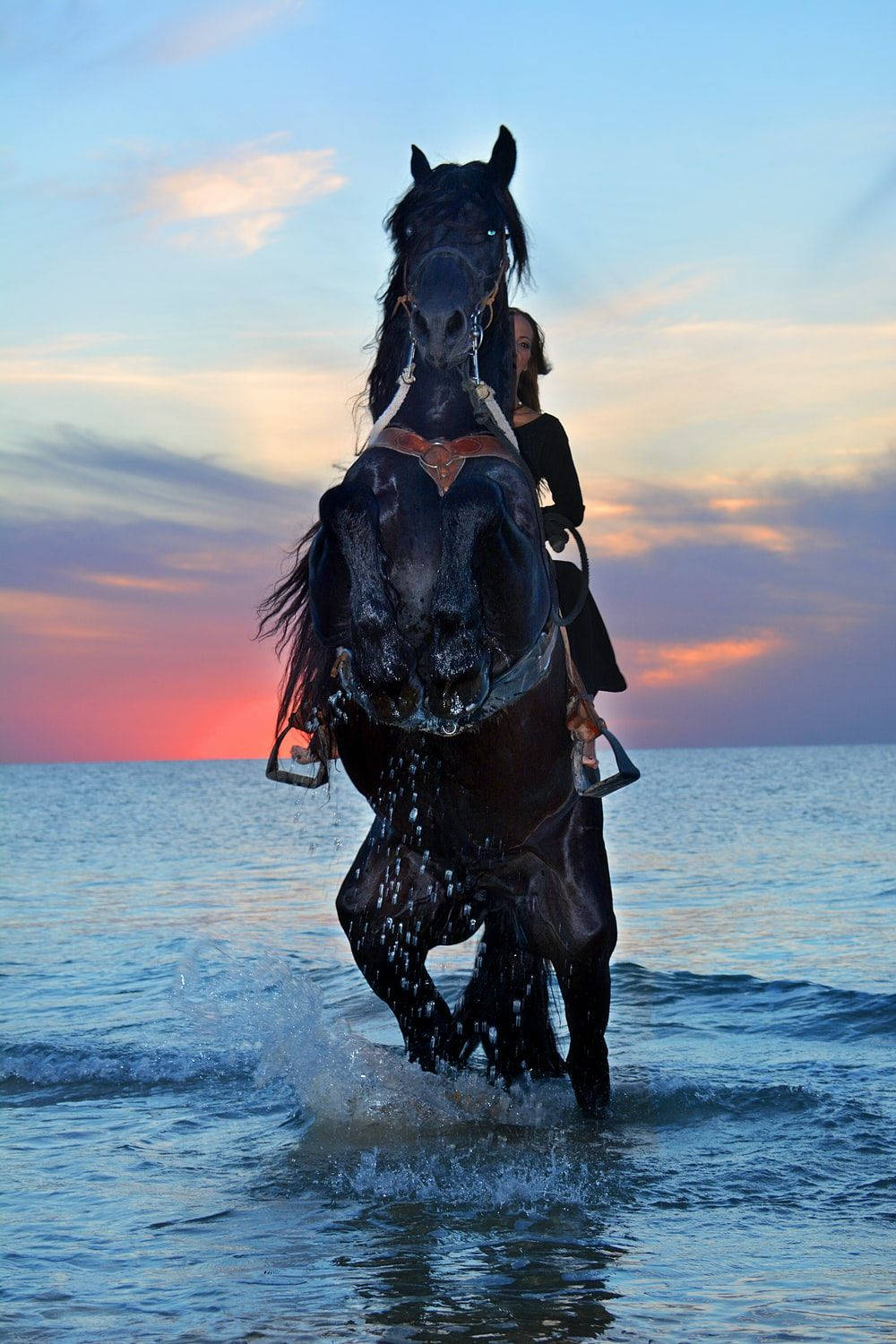 Majestic Black Horse Rearing By The Ocean Wallpaper