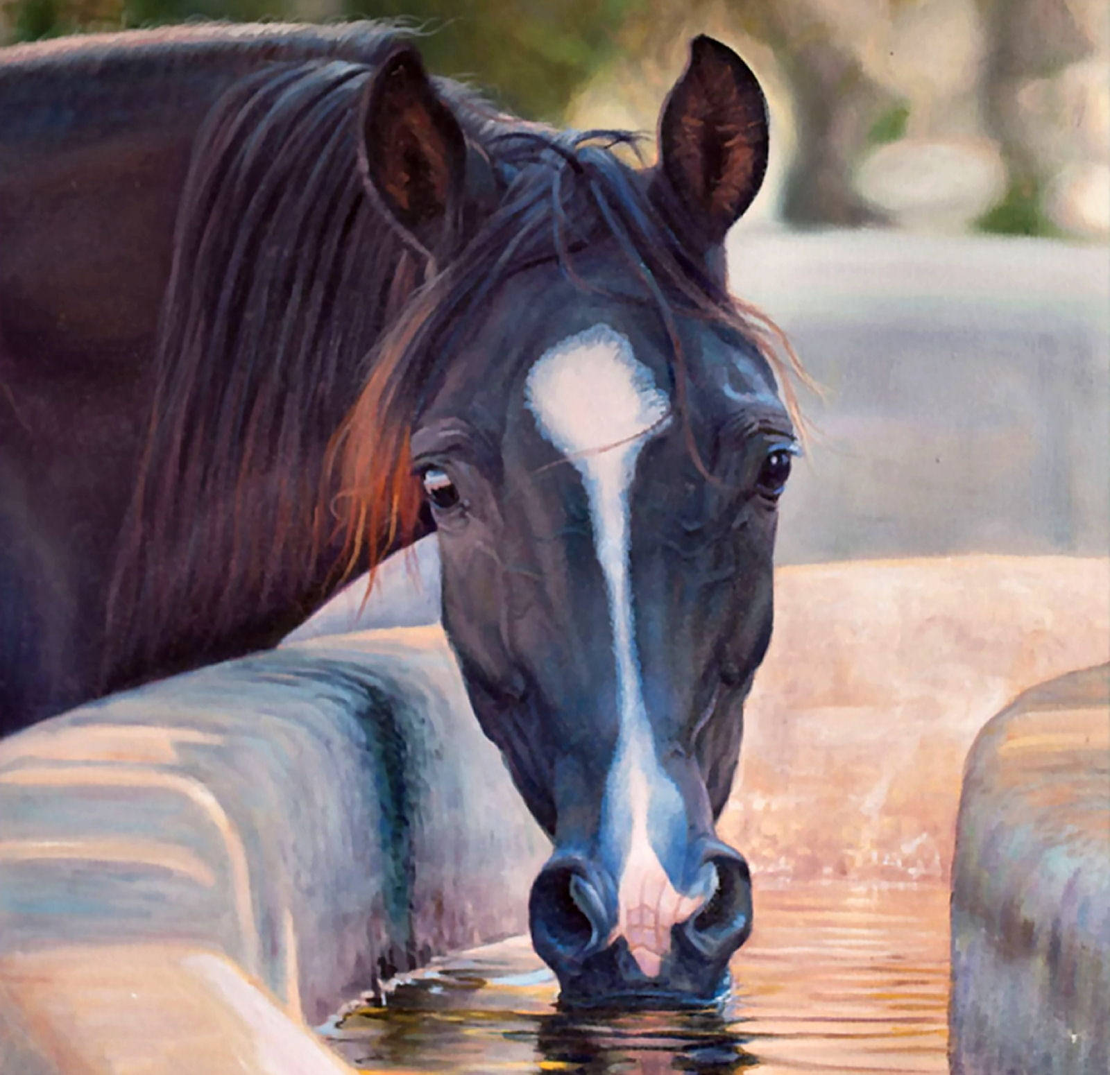 Majestic Grace - Close-up Portrait Of Bay Horse Wallpaper