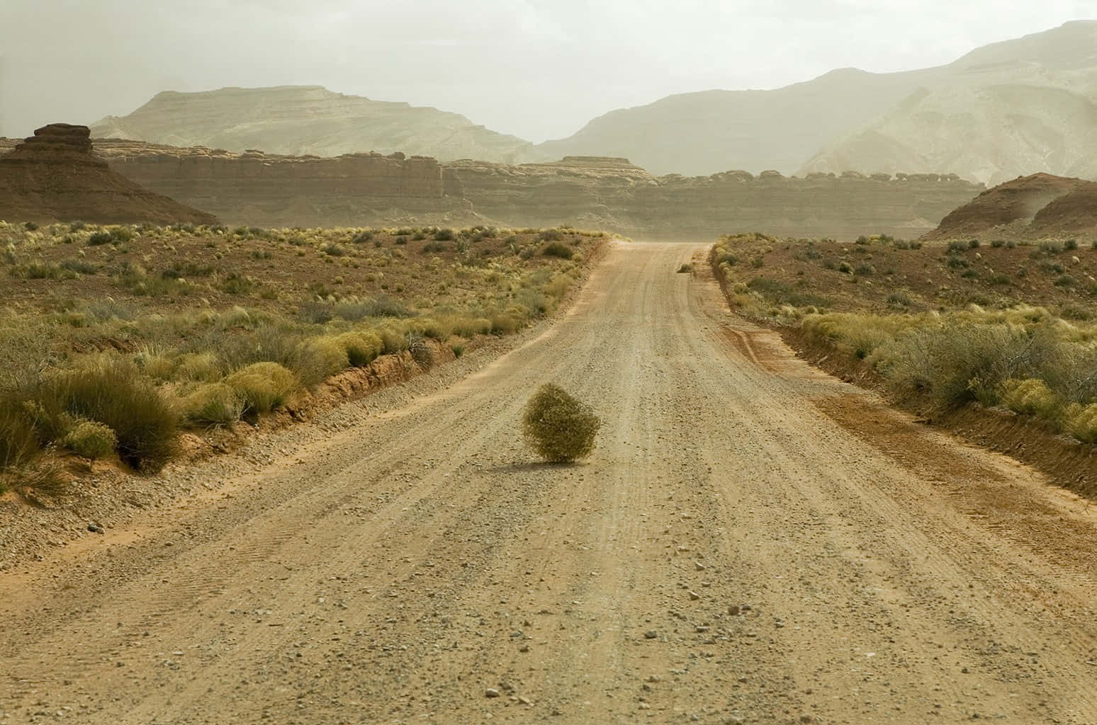 Majestic Tumbleweed In Open Desert Wallpaper