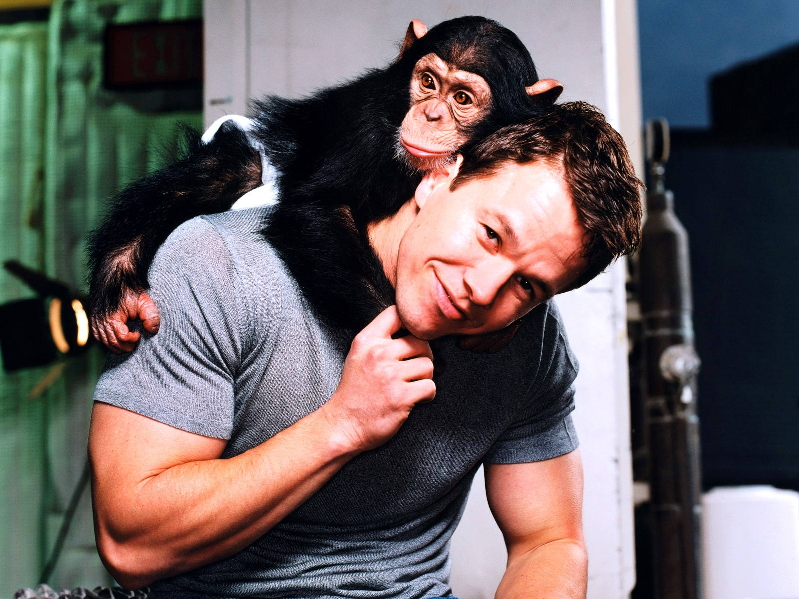 Mark Wahlberg With A Monkey Wallpaper