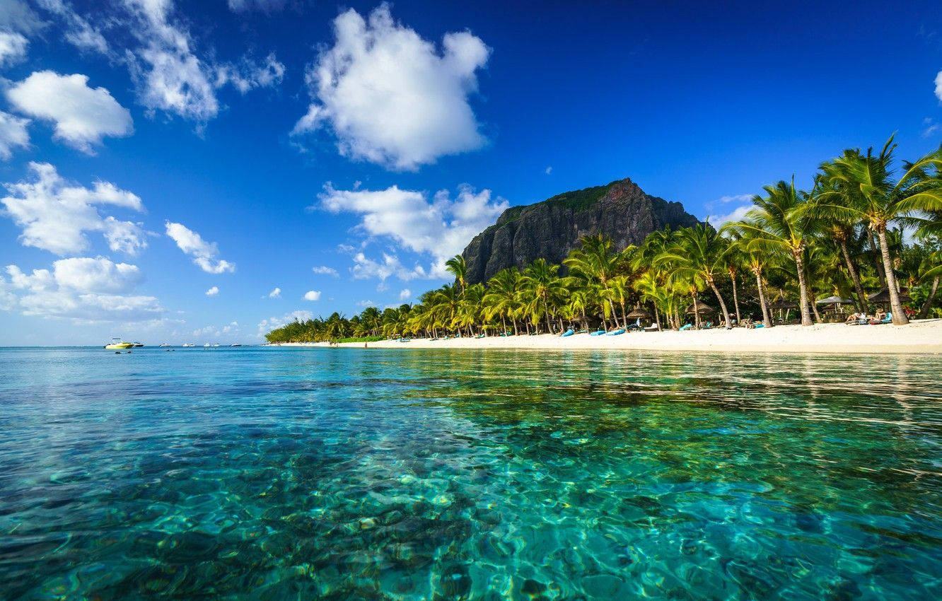 Mauritius Island Sea Wallpaper