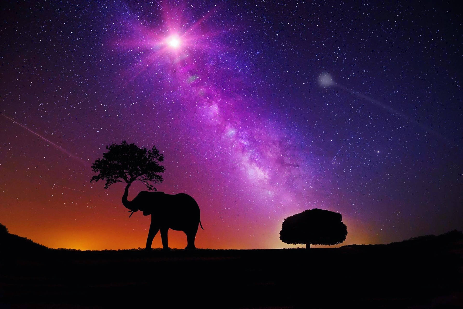 Milky Way Galaxy Elephant Wallpaper