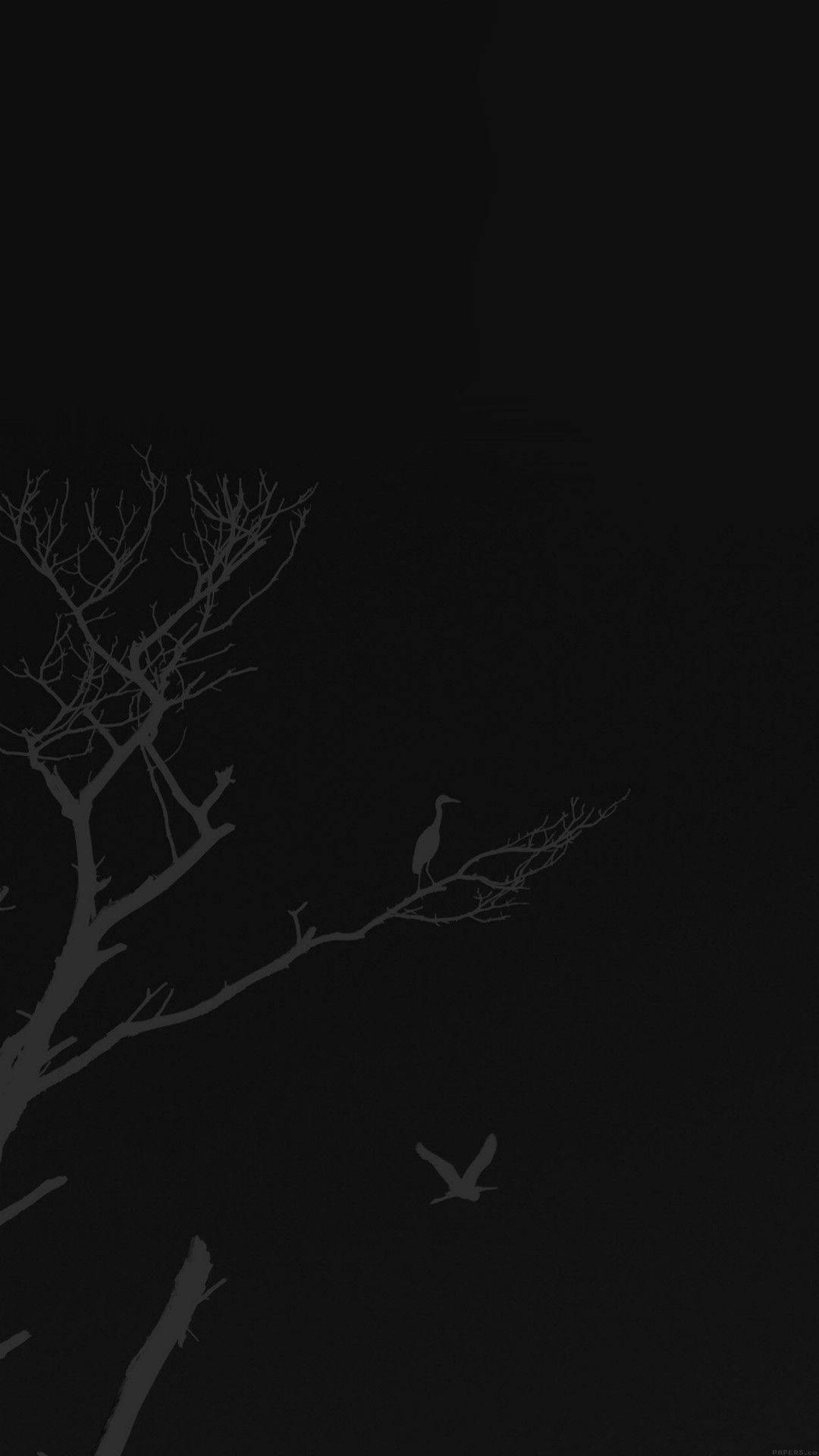 Minimalist Tree Graphic Beautiful Dark Background Wallpaper