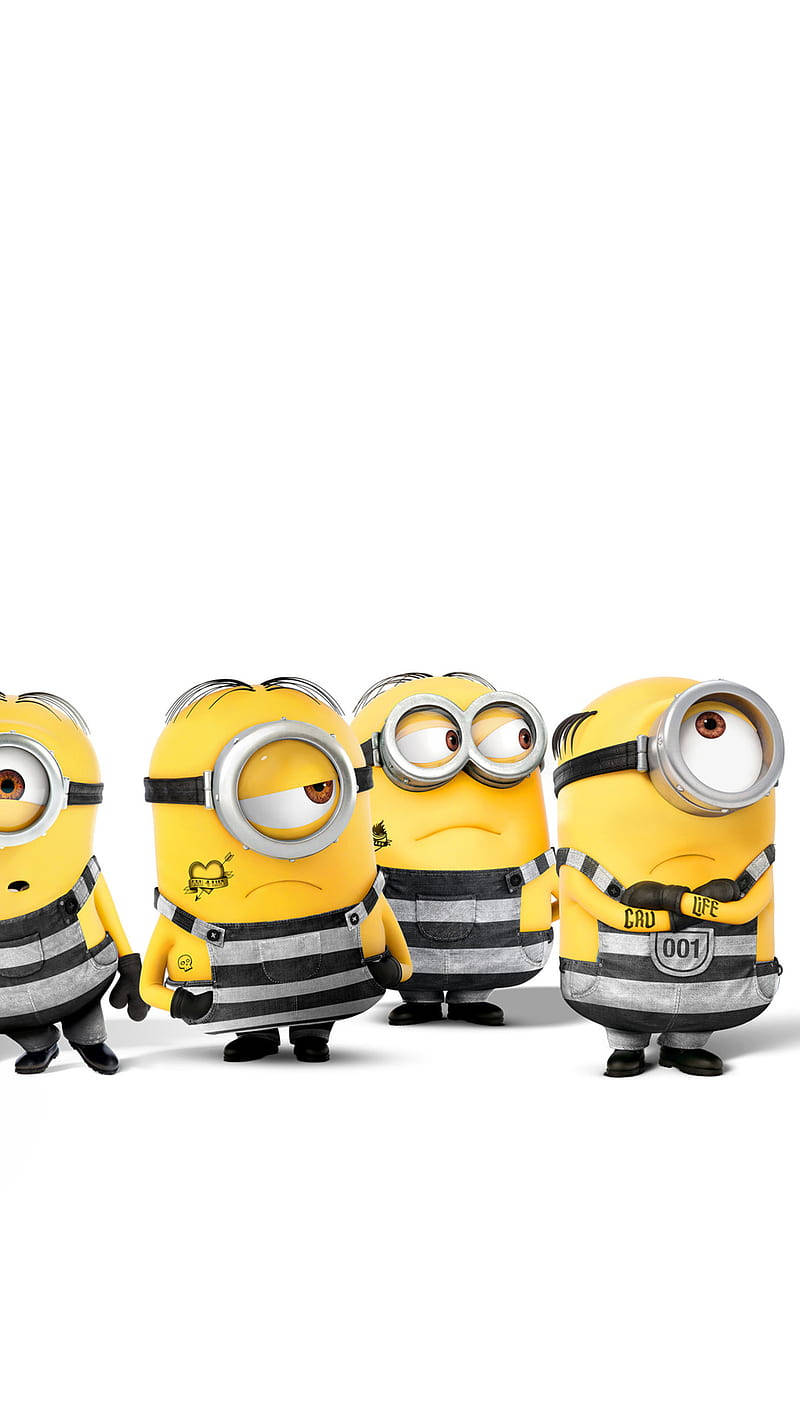 Minions In Inmates Uniform Despicable Me 3 Wallpaper