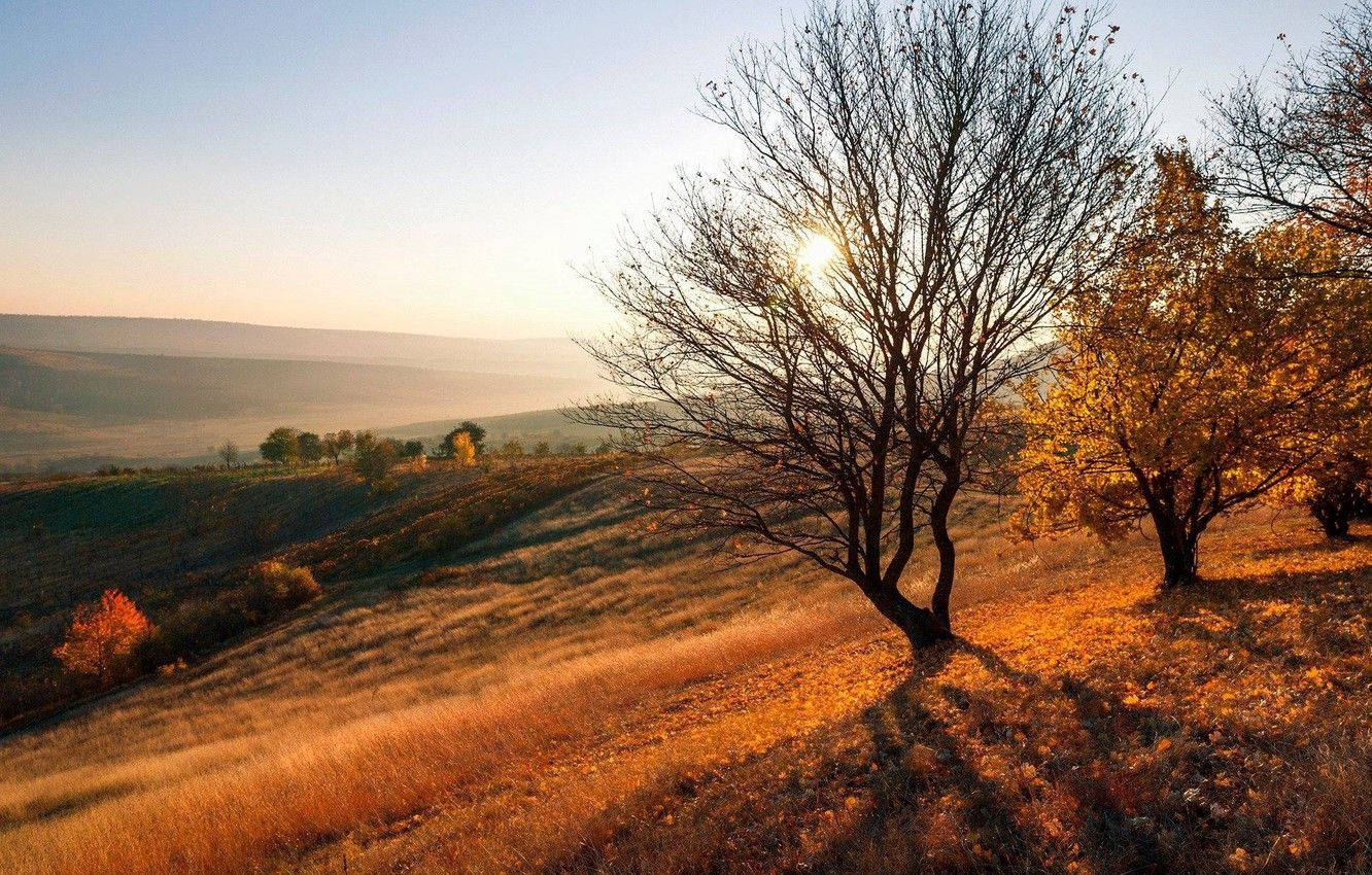 Moldova Vulcănești Town Wallpaper