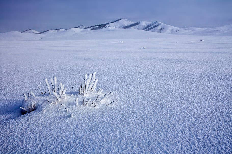 Mongolias Snowfield Wallpaper