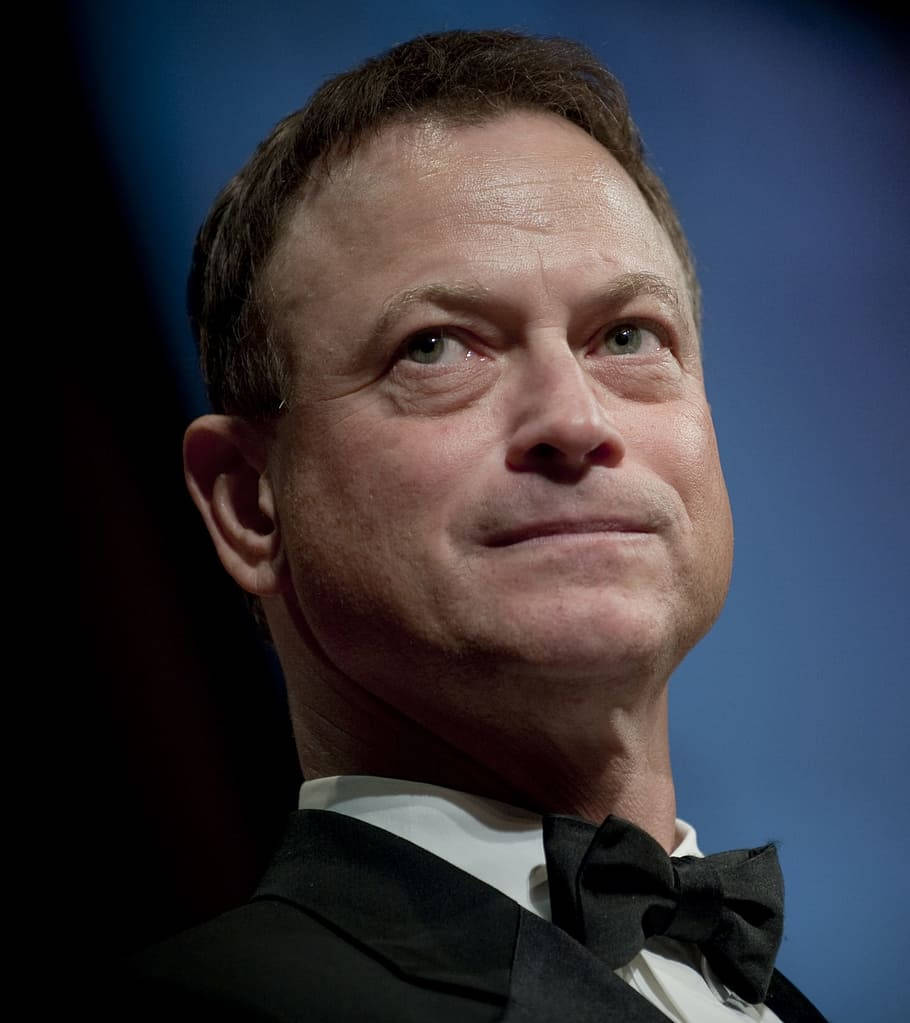 Movie Actor Gary Sinise Wallpaper