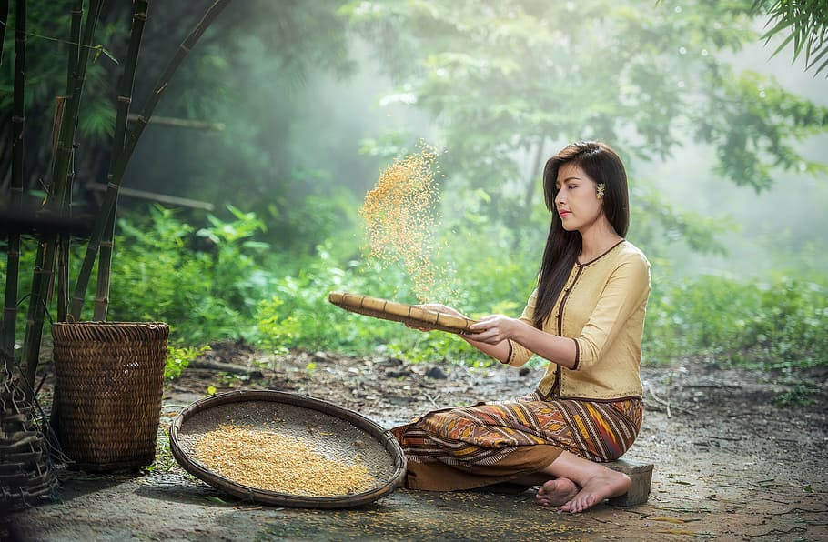 Myanmar Girl Rice Sorting Wallpaper