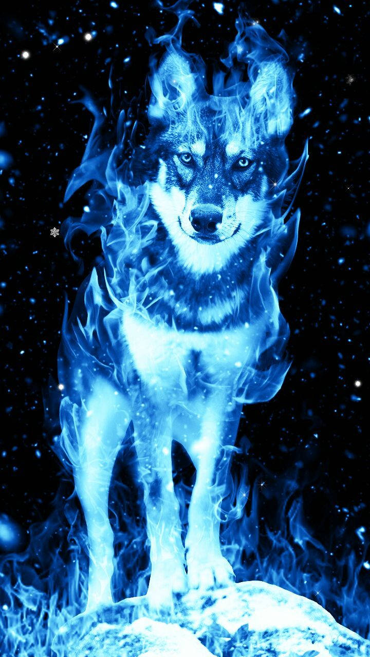 Mystical Blue Wolf In Fierce Flames Wallpaper